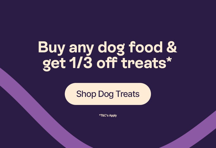 Buy any dog food &amp; get 1/3 off treats* - Shop Dog Treats