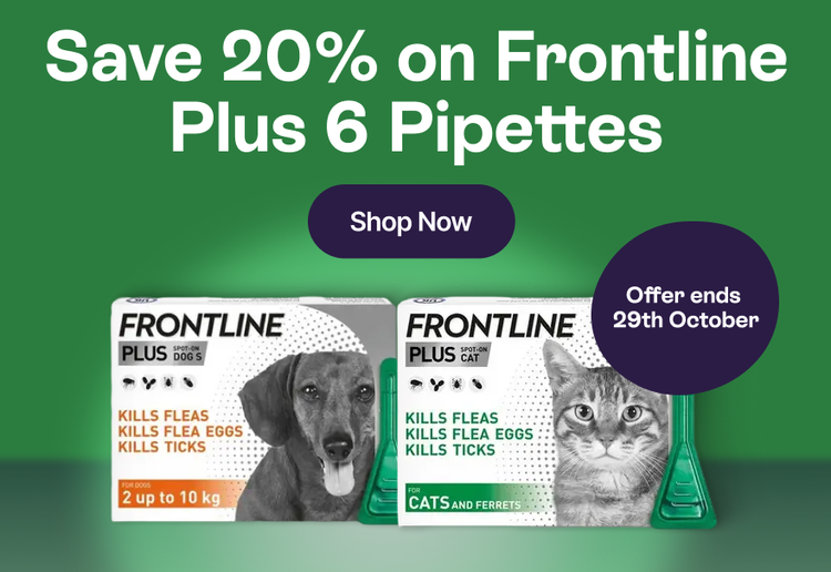 Save 20% on Frontline Plus 6 Pipettes - Shop Now - Offer ends 29th October