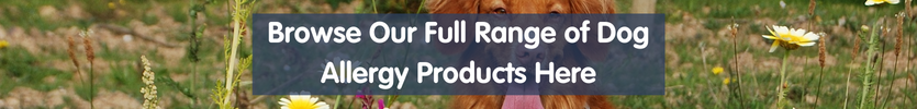 Browse our range of dog allergy treatments