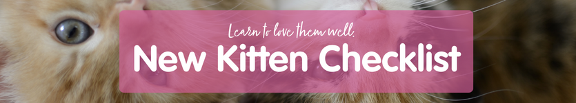 New kitten checklist