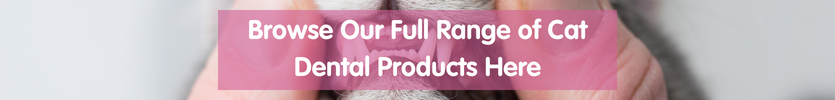 Browse our range of cat dental care products here