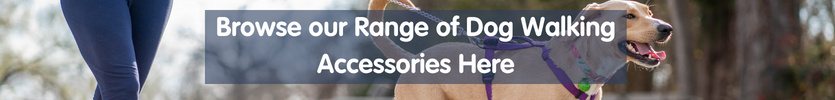 Browse our range of dog walking accessories here