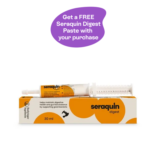 Seraquin Digest Digestive Health Paste for Dogs & Cats 30ml 18171