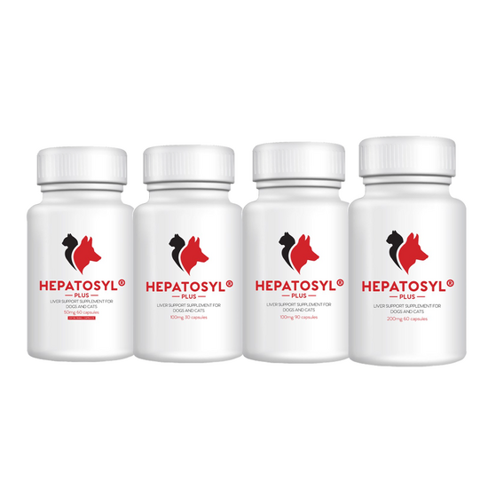 Hepatosyl Plus Liver Support Supplement Capsules for Dogs and Cats 2934