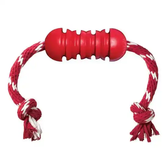 KONG Dental With Rope Toy for Dogs 1520