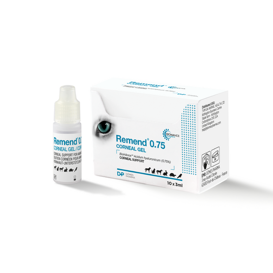 Remend 0.75 Corneal Gel for Dogs