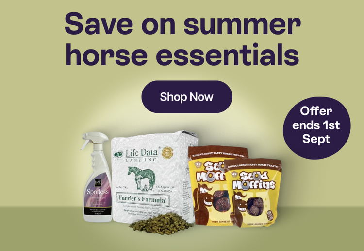 Save on summer horse essentials