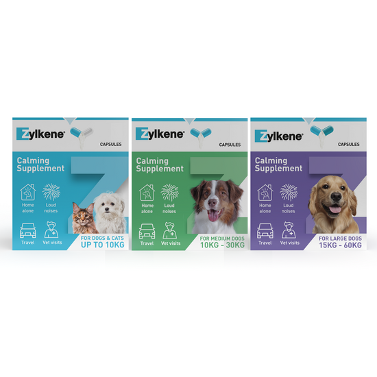 Zylkene Capsules Calming Supplement for Cats and Dogs 1431