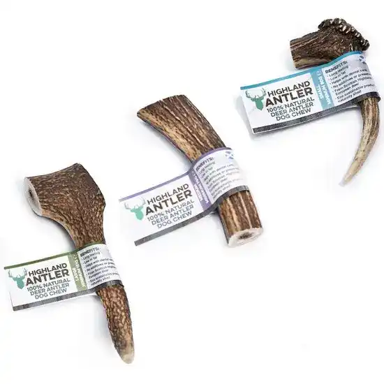 Highland 100% Natural Deer Antler Dog Chew 7788