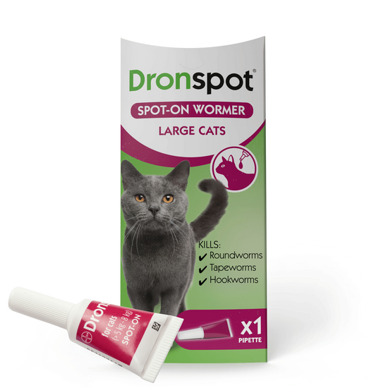Dronspot Spot-On Wormer for Large Cats (5kg-8kg) 10229