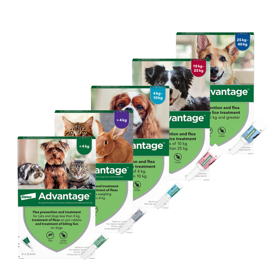 Advantage Spot-On Flea Treatment 921