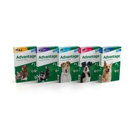 Advantage Spot-On Flea Treatment 921