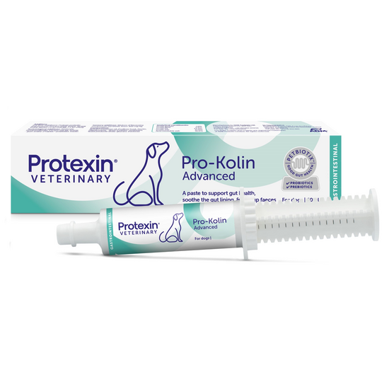 Protexin Veterinary Pro-Kolin Advanced Gut Health Paste for Dogs 2249