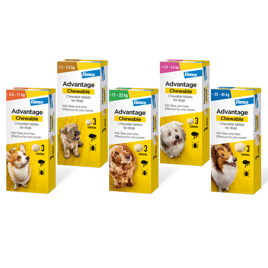 Advantage Chewable Tablets Flea & Tick Treatment for Dogs 18588