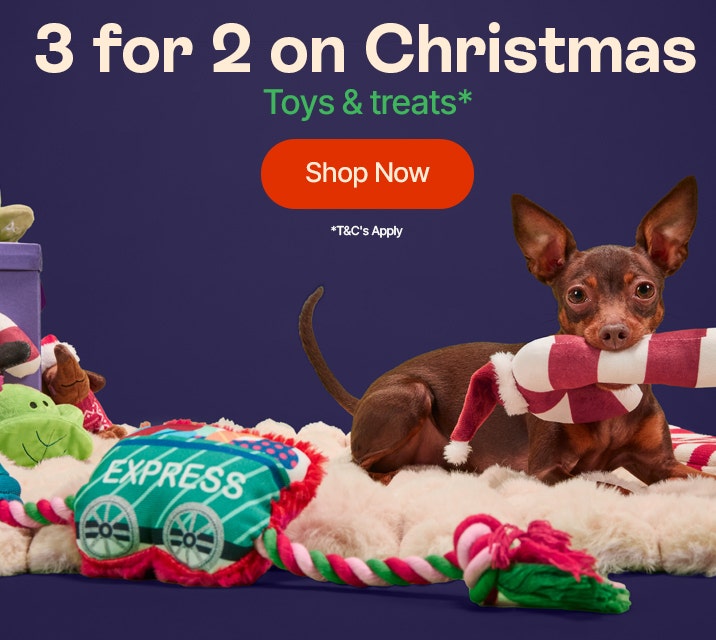 3 for 2 on Christmas toys and accessories*