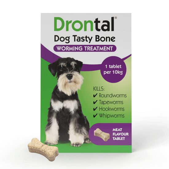 Drontal Tasty Bone Wormer Tablets for Small and Medium Dogs (2kg-20kg) 2881