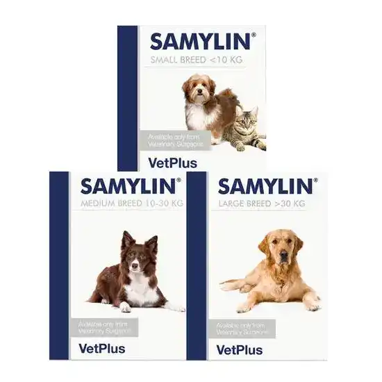 SAMYLIN Liver Health Support Sachets 1393