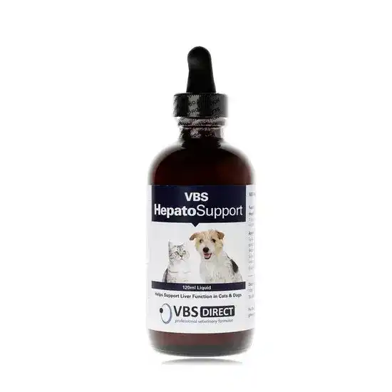 VBS Liquid Hepato Support Supplement Liquid for Cats & Dogs 2757