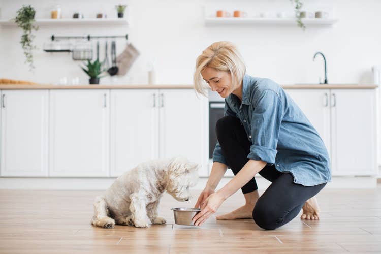 A blonde female owner feeding her small-breed dog (West Highland White Terrier) a bowl of food in the kitchen.