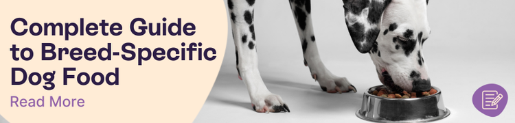 A studio shot of an adult dalmation eating a bowl of dry food with overlay text that reads "Complete Guide to Breed-specific Dog Food"