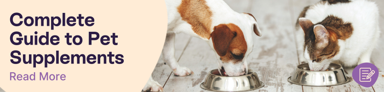 pet supplement guide header