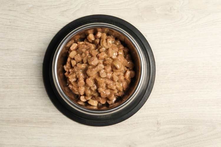 Isolated stainless steel dog bowl full of wet dog food photographed from above