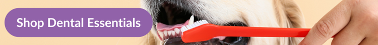 Shop the Best Dog Dental Products at Pet Drugs Online