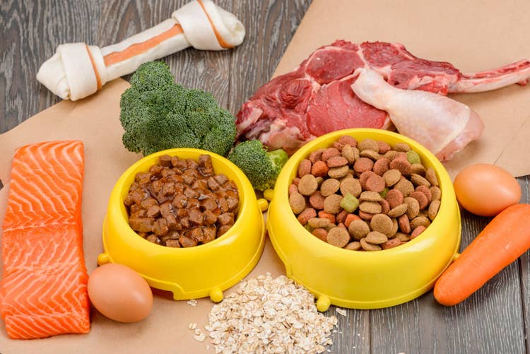 Two yellow dog food bowls, one full of dry dog kibble the other wet dog food, surrounded by ingredients, inlcuding a salmon fillet, carrots, eggs, broccoli, meat fillets and dog chew bones.
