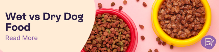 Wet vs Dry Dog Food Comparison header