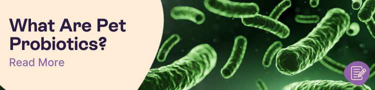 Probiotics for dogs and cats