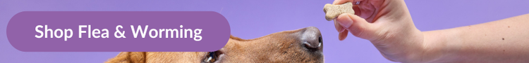 A fox red labrador being offered a Drontal Tasty Bone worming treatment with overlay text that reads &#34;Shop Flea &amp; Worming&#34;