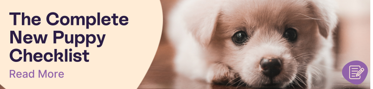 A cream coloured puppy lying on a wooden floor with overlay text that reads "The Complete New Puppy Checklist"