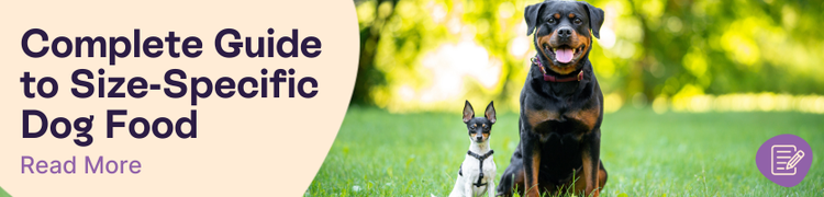A rottweiler sitting nicely beside a sitting chihuahua with overlay text that reads "Complete Guide to Size-Specific Dog Food"
