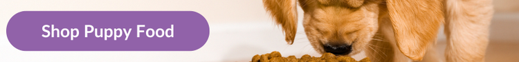 A golden retreiver puppy sniffing a bowl of puppy biscuits with overlay text that reads &#34;Shop Puppy Foods&#34;