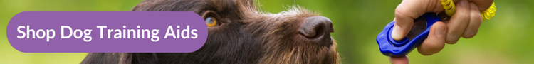 A brown wire-haired dog sitting obediently while their owner uses a blue clicker training aid with overlay text that reads &#34;Shop Dog Training Aids&#34;