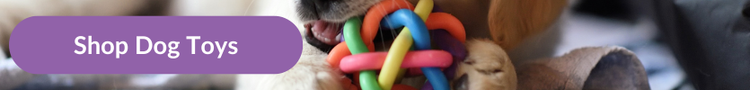 A labrador puppy chewing on a rubber knot toy with overlay text that reads &#34;Shop Dog Toys&#34;