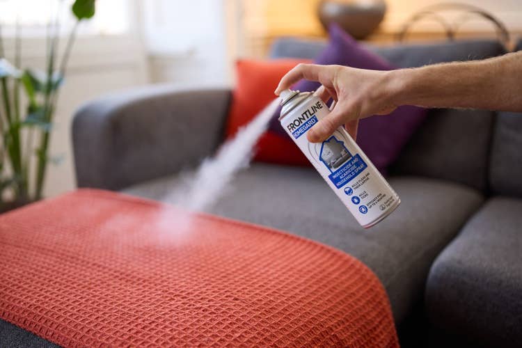 An owner using Frontline Homegard Household Flea Spray on their sofa to get rid of fleas in the home.