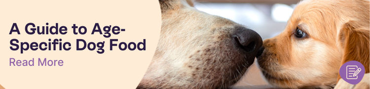 Age-specific Dog Food Header