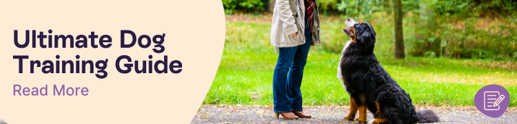 The Ultimate Dog Training Guide