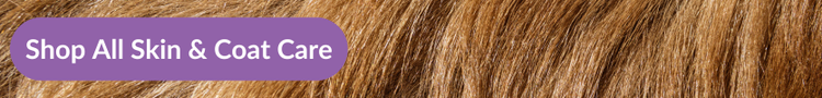 Close up of a red labrador&#39;s fur with overlay text that reads &#34;Shop all Skin &amp; Coat Care&#34;